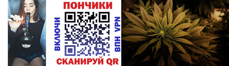 Где купить наркоту Петров Вал Альфа ПВП  ГАШ  гидра tor  МАРИХУАНА 